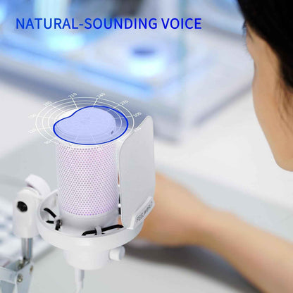 VM1 RGB Gaming Microphone
